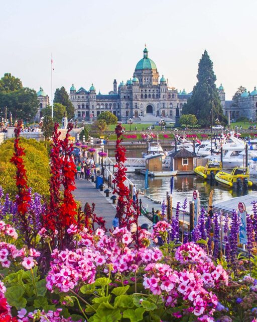 Best In Canada Canada Reviewed