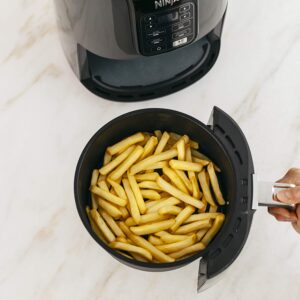 Ninja Air Fryer AF101C